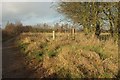 Footpath near Staveley Mill Farm