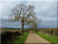 The lane to Draughton