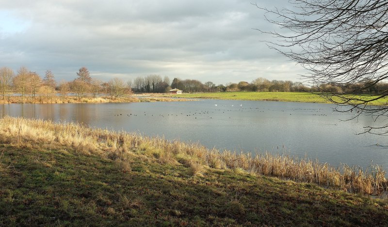 Lake, Staveley Nature Reserve © Derek Harper :: Geograph Britain and ...