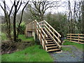 Footbridge over the Madford River