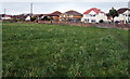 Eastern end of a long field, Nottage, Porthcawl