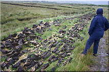 V6388 : Freshly dug peat by Malcolm Neal