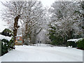 Snowy bend on Blackwater Lane