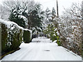 A white Green Lane