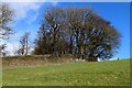 Wall near the Black Dyke Mill