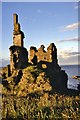 ND3754 : Castle Girnigoe/Sinclair by Alan Reid