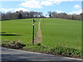 Footpath to Provender Farm