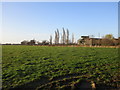 SE7333 : Grass field and Newsholme Farm by Jonathan Thacker