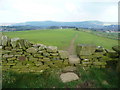 Stile on Holmfirth FP60/1 near Brownhill Farm, Netherthong