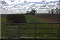 Footpath towards Onley