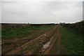 Muddy Trent Path Lane, west of Sherborne