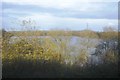 Lake in the Colne Valley