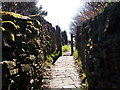 Footpath - Tinker Lane