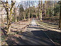 Footpath - Holmfirth Road