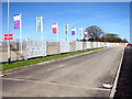 Flags beside Baker Drive