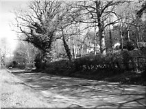 TG2138 : Cromer Road (B1436) past Hylton by Evelyn Simak