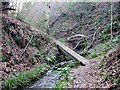 Bridge in Old Roar Gill