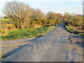 Road at entrance to Knavesmire