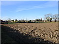 Heslington across the fields