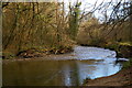 SX0963 : River Fowey downstream of Respryn Bridge by Christopher Hilton