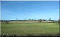 Farm land on the West side of the A25