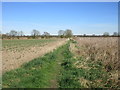 Footpath to the Pocklington Canal