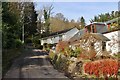 Back Road Stroul, Rosneath