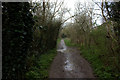 Path towards Bure Park nature reserve