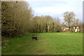 Bure Park nature reserve bench