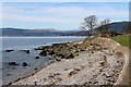 Shingle shore and sea wall at Kilcreggan