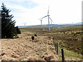 SS9591 : Ger Ffatri Wynt Pen-y-Wal / Near Pen-y-Wal Wind Factory by Alan Richards