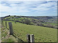 View from the A4120 road near Pisgah