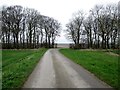 The  access  road  to  High  Mowthorpe