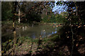 Pond near Imberhorne Farm