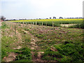 Fields east of Blind Lane