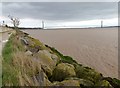 TA0025 : The Humber foreshore at North Ferriby by Graham Hogg