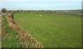 SX1956 : Sheep pasture by the B3359 by Derek Harper