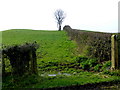 Gap between fields, Killybrack