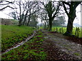 Stream, Mountjoy Forest East Division / Killybrack