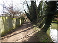 Path along the River Little Ouse