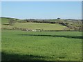 View to Barrow Hill