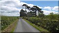 Yellow road near Longfords