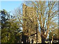 The tower of St Nicholas Church, Sevenoaks