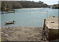SX1252 : River Fowey at Mixtow Quay by Derek Harper