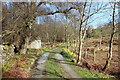 Driveway at the Buchan