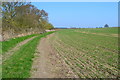 Field edge north of East Mersea