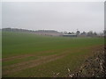 Farmland at Pitmurthly