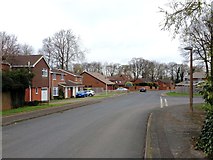 TQ7963 : Lambsfrith Grove, Hempstead by Chris Whippet