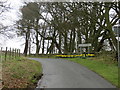 Road entering Muggleswick near Haverley Lodge