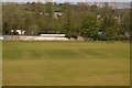 ST7165 : Cricket pitch by N Chadwick